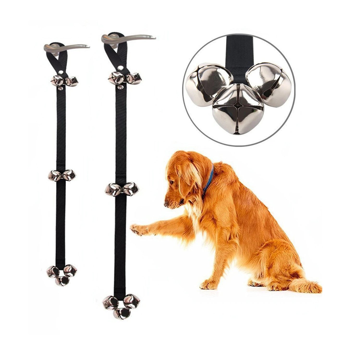 Toilet Training Dog Bell